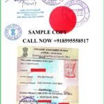 Birth Certificate Apostille