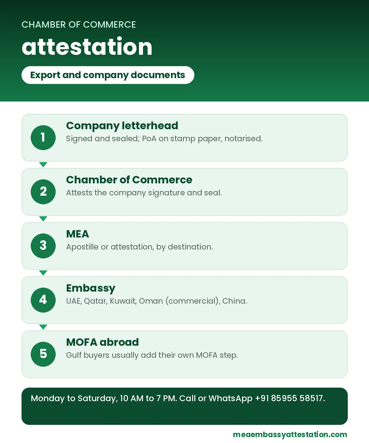 Chamber of commerce attestation: step-by-step process by INFINITYGRO