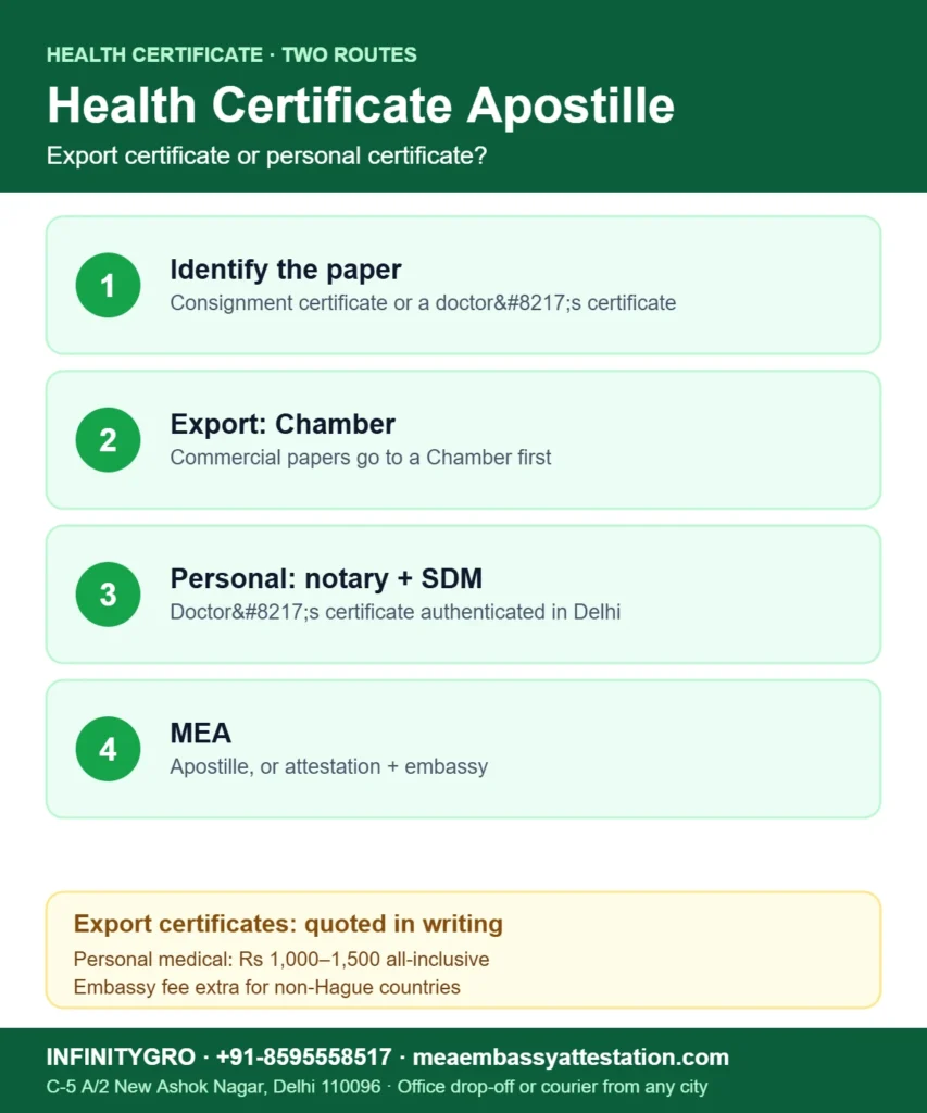 Health certificate apostille routes: export certificates through the Chamber of Commerce, personal medical certificates through notary and SDM, then the MEA